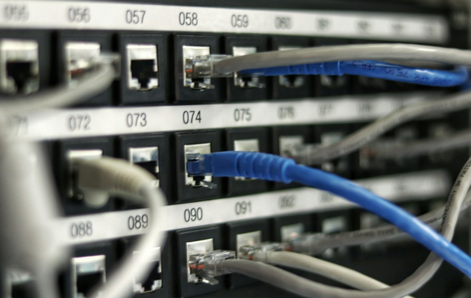 Blue network cable patched into a numbered rack panel